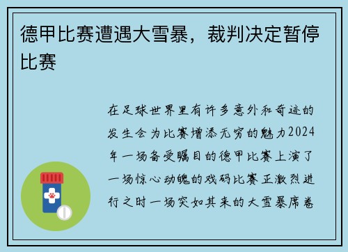 德甲比赛遭遇大雪暴，裁判决定暂停比赛
